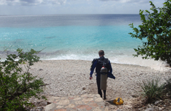 Dykning på Bonaire Dykning på Bonaire